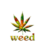 Cannabis Bild mit Schriftzug weed