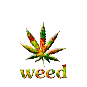 Cannabis Bild mit Schriftzug weed